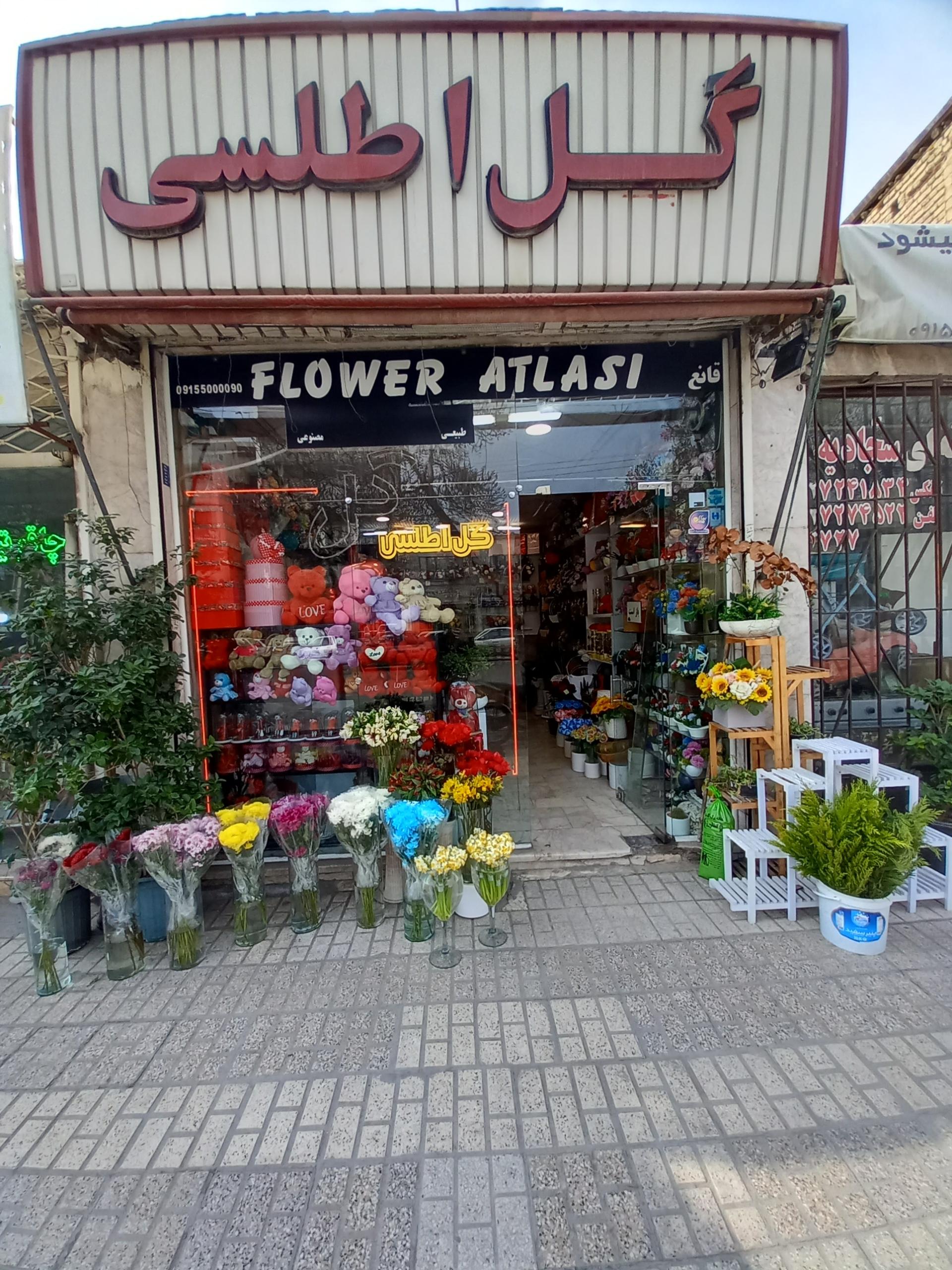 عکس گل فروشی اطلسی
