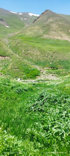 عکس دره لیقوان
