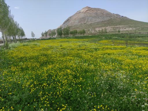 عکس دره لیقوان