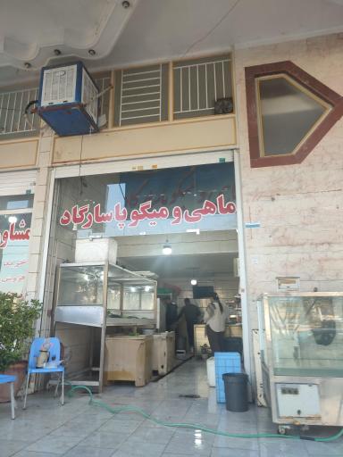 عکس ماهی و میگو پاسارگاد