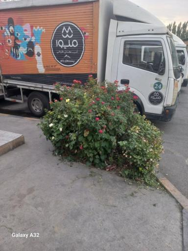 عکس آب معدنی میوا