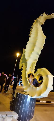 عکس پارک مروارید عسلویه