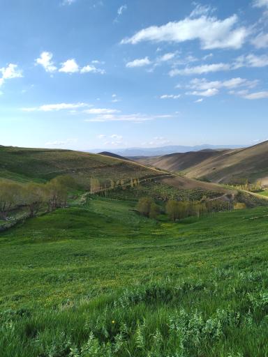 عکس دره لیقوان