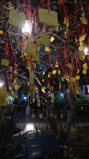 عکس کافه بیولند