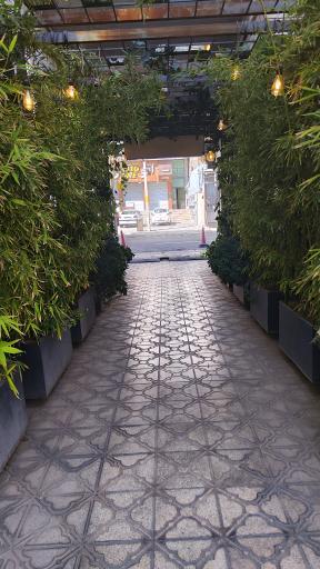 عکس کافه بیولند