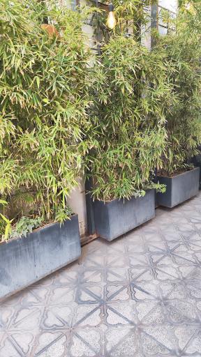 عکس کافه بیولند