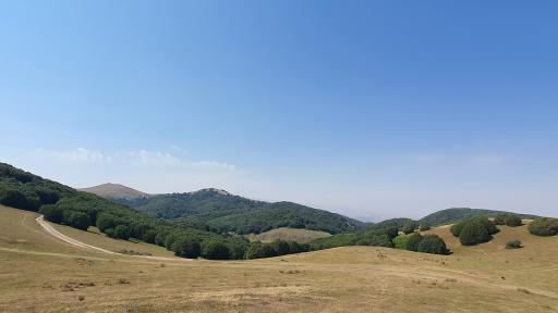 عکس بام سد سوها