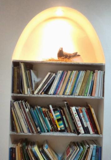 عکس بیت الجیران ( خانه همسایه ها)