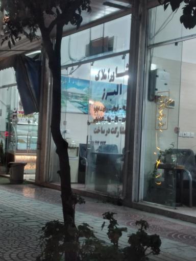 عکس مشاور املاک البرز