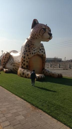عکس بوستان پرنیان