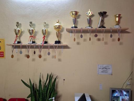 عکس شهر ژیمناستیک اصفهان 