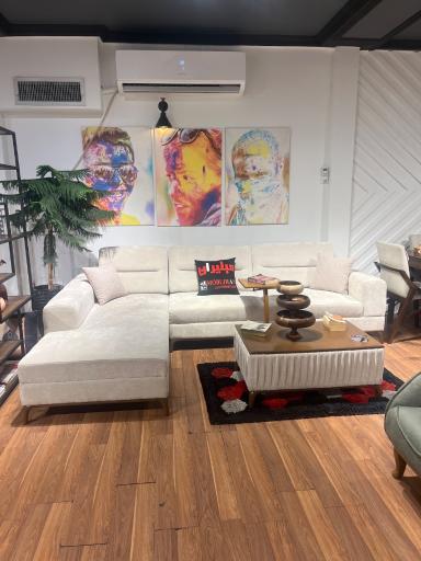 عکس مبلیران کاویانی ۴۰۷