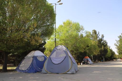 عکس بوستان جنگلی فدک