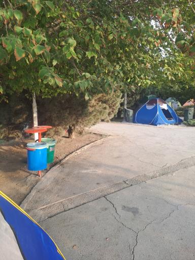 عکس بوستان جنگلی فدک