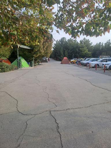 عکس بوستان جنگلی فدک