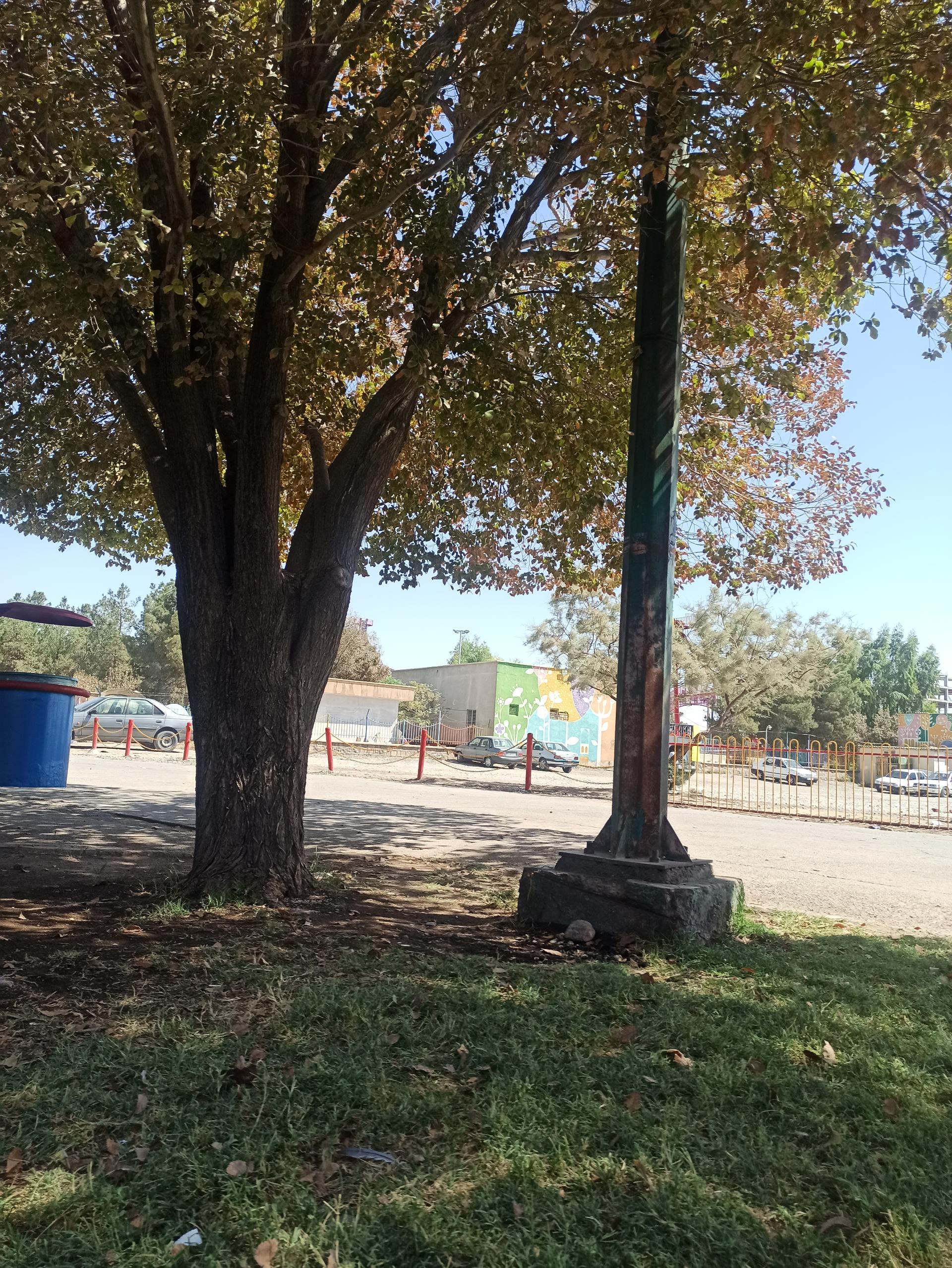 عکس بوستان جنگلی فدک