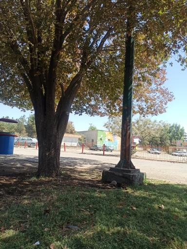 عکس بوستان جنگلی فدک