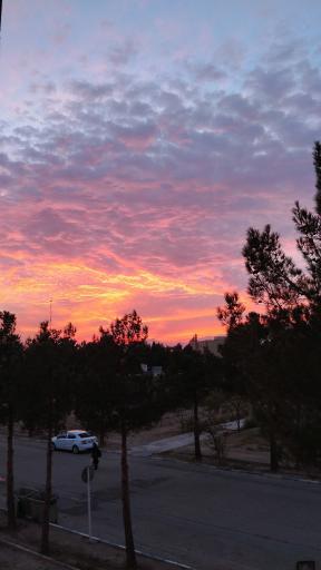 عکس دانشگاه دامغان