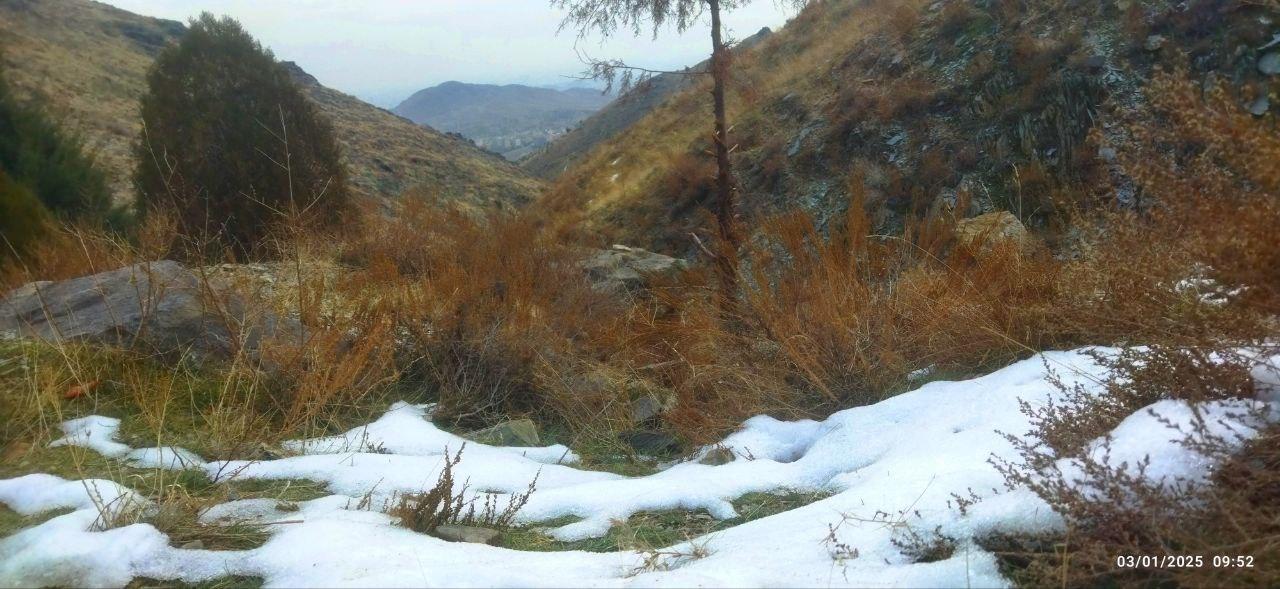 عکس ورودی کوه پارک