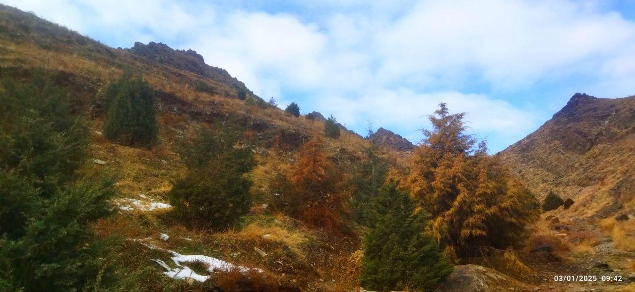 عکس ورودی کوه پارک