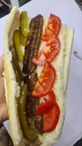 عکس ساندویچی سید ساندو