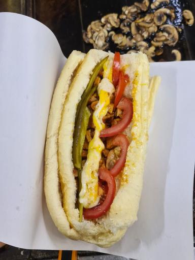 عکس ساندویچی سید ساندو