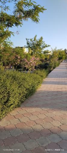 عکس بوستان انقلاب