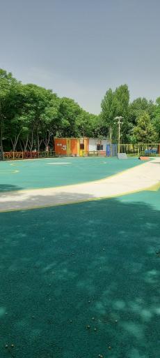 عکس زمین اسکیت باغ ملی