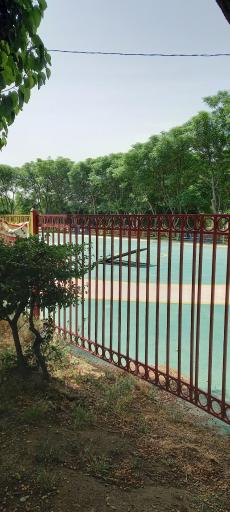 عکس زمین اسکیت باغ ملی