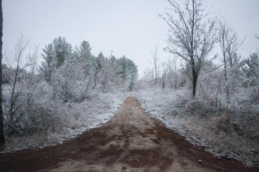 عکس پارک بزرگ حبیب آباد