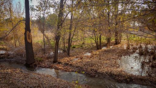 عکس پارک بزرگ حبیب آباد