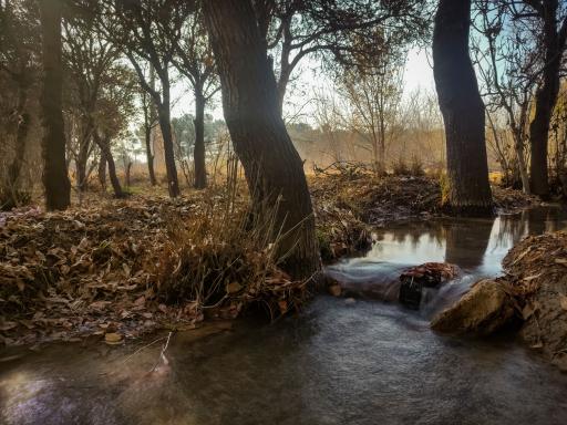 عکس پارک بزرگ حبیب آباد