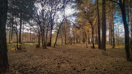 عکس پارک بزرگ حبیب آباد