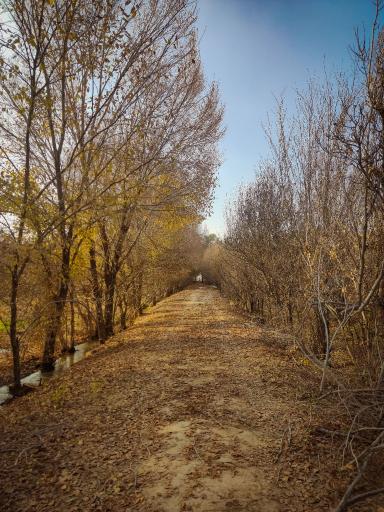 عکس پارک بزرگ حبیب آباد