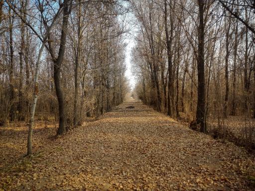 عکس پارک بزرگ حبیب آباد