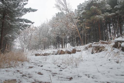 عکس پارک بزرگ حبیب آباد