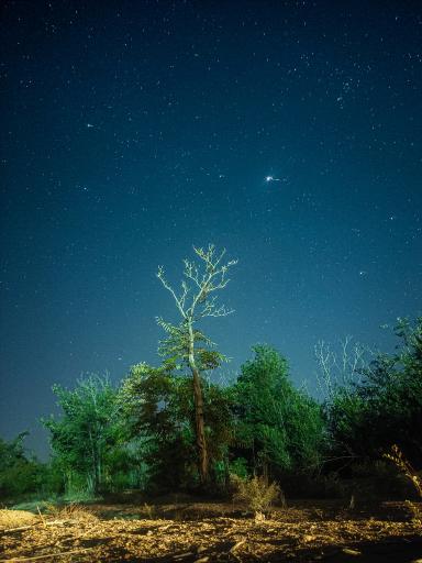 عکس پارک بزرگ حبیب آباد