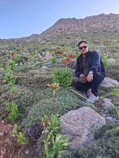 عکس کوه برم فیروز