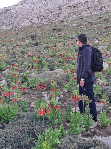 عکس کوه برم فیروز