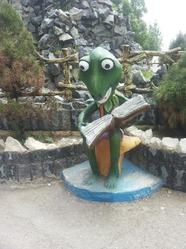 عکس اردوگاه ثامن الحجج (ع)