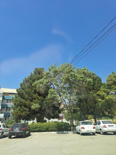 عکس بیمارستان تخصصی قلب امام علی