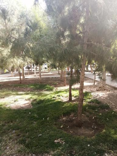 عکس بوستان شهداء