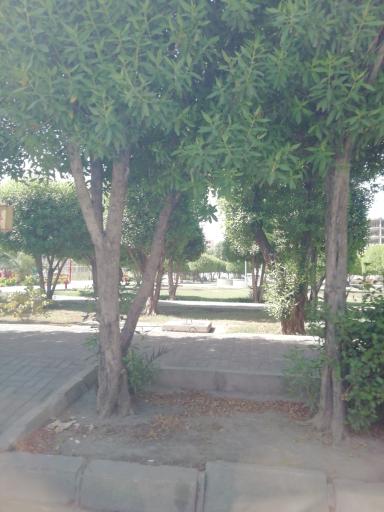 عکس پارک فدک