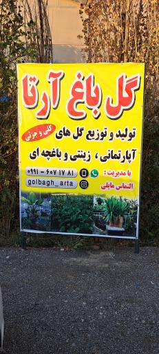 عکس گل باغ آرتا