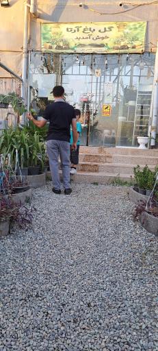 عکس گل باغ آرتا