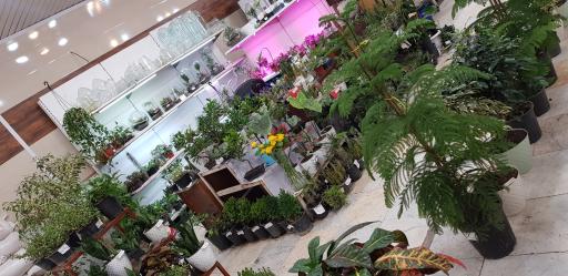 عکس تعاونی مصرف کنندگان آبفا