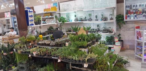 عکس تعاونی مصرف کنندگان آبفا