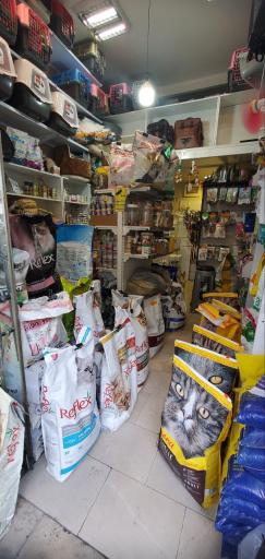 پت شاپ لاوینا