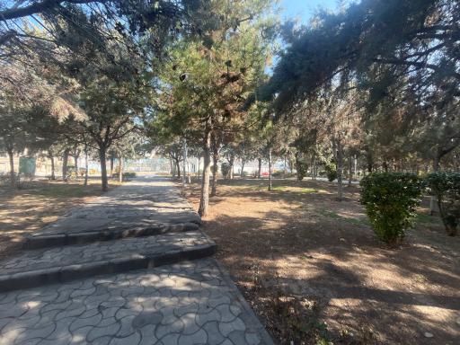 عکس بوستان پرند