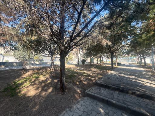 عکس بوستان پرند